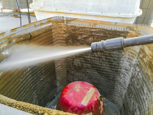 Best Air Duct Mold Removal  in Colfax, IL