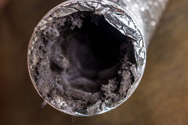 Best Air Duct Sanitizing Services  in Colfax, IL