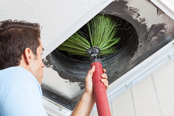 Best Dryer Vent Cleaning Services  in Colfax, IL